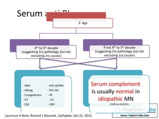 Serum anti PL
3- Age
4th to 5th decade
(suggesting 1ry pathology, but not
excluding 2ry causes)
- ANA - Anti dsDNA
- HBsAg - HCV Ab
- Cryoglobulins - RF
- C3 - C4
- ESR - CRP
If not 4th to 5th decade
(suggesting 2ry pathology, but not
excluding 1ry causes)
Tumor screening:
When to screen ?
How to screen?
Laurence H Beck, Richard J Glassock. UpTodate. Oct 21, 2015.
Serum complement
is usually normal in
idiopathic MN
 