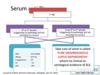 Serum anti PL
3- Age
4th to 5th decade
(suggesting 1ry pathology, but not
excluding 2ry causes)
- ANA - Anti dsDNA
- HBsAg - HCV Ab
- Cryoglobulins - RF
- C3 - C4
- ESR - CRP
If not 4th to 5th decade
(suggesting 2ry pathology, but not
excluding 1ry causes)
Tumor screening:
When to screen ?
How to screen?
Take care of what is called
PURE MEMBERANOUS
LUPUS NEPHROPATHY
where no clinical or
serological evidence of SLE.
Laurence H Beck, Richard J Glassock. UpTodate. Oct 21, 2015.
 