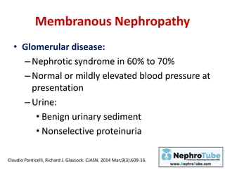 Membranous Nephropathy
• Glomerular disease:
–Nephrotic syndrome in 60% to 70%
–Normal or mildly elevated blood pressure at
presentation
–Urine:
• Benign urinary sediment
• Nonselective proteinuria
Claudio Ponticelli, Richard J. Glassock. CJASN. 2014 Mar;9(3):609-16.
 