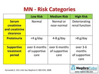 MN - Risk Categories
Low Risk Medium Risk High Risk
Serum
creatinine
and creatinine
clearance
Normal Normal or
near-normal
Deteriorating
renal function
Proteinuria <4 g/day 4-8 g/day >8 g/day
Supportive
treatment
period
over 6 months
of supportive
care
over 6 months
of supportive
care
over 3-6
months
of supportive
care
Fernando C. Clin J Am Soc Nephrol 3: 905-919, 2008
 