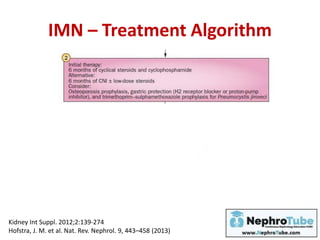 IMN – Treatment Algorithm
Kidney Int Suppl. 2012;2:139-274
Hofstra, J. M. et al. Nat. Rev. Nephrol. 9, 443–458 (2013)
 
