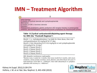 IMN – Treatment Algorithm
Kidney Int Suppl. 2012;2:139-274
Hofstra, J. M. et al. Nat. Rev. Nephrol. 9, 443–458 (2013)
 