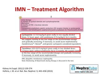 IMN – Treatment Algorithm
Kidney Int Suppl. 2012;2:139-274
Hofstra, J. M. et al. Nat. Rev. Nephrol. 9, 443–458 (2013)
 