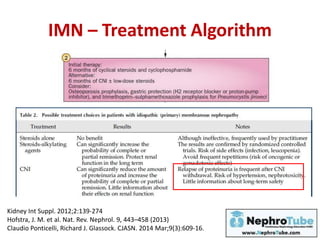 IMN – Treatment Algorithm
Kidney Int Suppl. 2012;2:139-274
Hofstra, J. M. et al. Nat. Rev. Nephrol. 9, 443–458 (2013)
Claudio Ponticelli, Richard J. Glassock. CJASN. 2014 Mar;9(3):609-16.
 