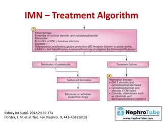 IMN – Treatment Algorithm
Kidney Int Suppl. 2012;2:139-274
Hofstra, J. M. et al. Nat. Rev. Nephrol. 9, 443–458 (2013)
 