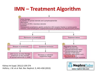 IMN – Treatment Algorithm
Kidney Int Suppl. 2012;2:139-274
Hofstra, J. M. et al. Nat. Rev. Nephrol. 9, 443–458 (2013)
 