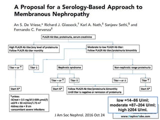 J Am Soc Nephrol. 2016 Oct 24
low =14–86 U/ml;
moderate =87–204 U/ml;
high ≥204 U/ml.
 