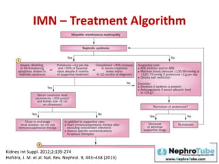 IMN – Treatment Algorithm
Kidney Int Suppl. 2012;2:139-274
Hofstra, J. M. et al. Nat. Rev. Nephrol. 9, 443–458 (2013)
 