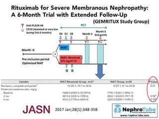 2017 Jan;28(1):348-358
(GEMRITUX Study Group)
 
