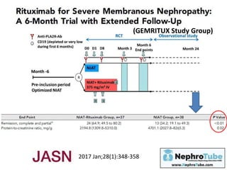 2017 Jan;28(1):348-358
(GEMRITUX Study Group)
 
