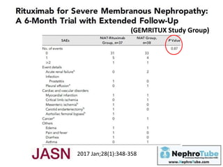 2017 Jan;28(1):348-358
(GEMRITUX Study Group)
 