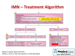 IMN – Treatment Algorithm
Kidney Int Suppl. 2012;2:139-274
Hofstra, J. M. et al. Nat. Rev. Nephrol. 9, 443–458 (2013)
Alternative: Rituximab
 