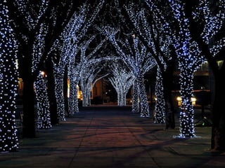 Mna christmas card 1