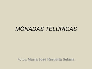 MÓNADAS TELÚRICAS




Fotos: María José Revuelta Solana
 