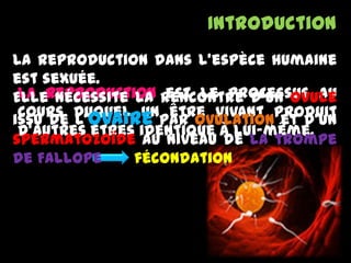 Introduction
La reproduction est le processus au
cours duquel un être vivant produit
d’autres êtres identique à lui-même,
La reproduction dans l'espèce humaine
est sexuée.
Elle nécessite la rencontre d'un ovule
issu de l’ovaire par ovulation et d'un
spermatozoïde au niveau de la trompe
de Fallope fécondation
 