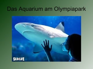 Das Aquarium am Olympiapark
 
