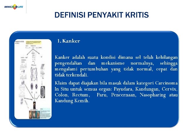 Mncl hario pd utk nasabah
