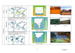 Desértico
QUENTE




                                                                                        (Uluru - Austrália)
                            Toda a bacia do Mediterrâneo, como também a
                            Califórnia, o centro do Chile, o Sul da África do Sul e o
                            sul da Austrália.
            Mediterrânico




                                                                                                               Maquis           Garrigue
TEMPERADO




                                                                                        (Badajoz - Espanha)
                            Litoral da Europa Ocidental, Noroeste dos EUA,
                            Sudoeste do Canadá, litoral sul do Chile, Sudeste da
                            Austrália e na Nova Zelândia.
            Marítimo




                                                                                        (Valentia - Irlanda)




                                                                                           6                            Prof. Daniel Maurício Dias
                                                                                                                               (2012/2013)
 