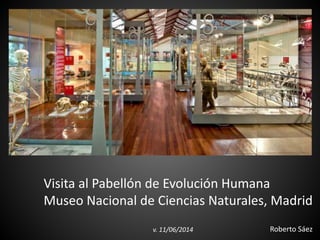 Sala de Evolución Humana
Museo Nacional de Ciencias Naturales, Madrid
Roberto Sáezv. 13/01/2015 nutcrackerman.com
 