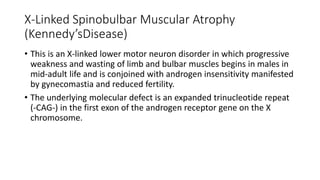X-Linked Spinobulbar Muscular Atrophy
(Kennedy’sDisease)
• This is an X-linked lower motor neuron disorder in which progressive
weakness and wasting of limb and bulbar muscles begins in males in
mid-adult life and is conjoined with androgen insensitivity manifested
by gynecomastia and reduced fertility.
• The underlying molecular defect is an expanded trinucleotide repeat
(-CAG-) in the first exon of the androgen receptor gene on the X
chromosome.
 