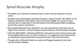 Spinal Muscular Atrophy
• The SMAs are a family of selective lower motor neuron diseases of early
onset.
• Despite some phenotypic variability (largely in age of onset), the defect in the
majority of families with SMA is loss of a protein (SMN, for survival motor
neuron) that is important in the formation and trafficking of RNA complexes
across the nuclear membrane.
• Neuropathologically these disorders are characterized by extensive loss of
large motor neurons; muscle biopsy reveals evidence of denervation atrophy.
• Infantile SMA (SMA I, Werdnig-Hoffmann disease) has the earliest onset and
most rapidly fatal course. In some instances, it is apparent even before birth,
as indicated by decreased fetal movements late in the third trimester.
• Though alert, afflicted infants are weak and floppy (hypotonic) and lack
muscle stretch reflexes.
 