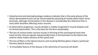 • Histochemical and electrophysiologic evidence indicates that in the early phases of the
illness denervated muscle can be reinnervated by sprouting of nearby distal motor nerve
terminals, although reinnervation in this disease is considerably less extensive than in
most other disorders affecting motor neurons.
• As denervation progresses, muscle atrophy is readily recognized in muscle biopsies and
on clinical examination. This is the basis for the term amyotrophy.
• The loss of cortical motor neurons results in thinning of the corticospinal tracts that
travel via the internal capsule and pyramidal tracts in the brainstem to the lateral and
anterior white matter columns of the spinal cord.
• The loss of fibers in the lateral columns and resulting fibrillary gliosis impart a particular
firmness (lateral sclerosis).
• A remarkable feature of the disease is the selectivity of neuronal cell death.
 