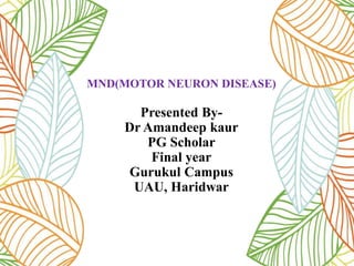 MND(MOTOR NEURON DISEASE)
Presented By-
Dr Amandeep kaur
PG Scholar
Final year
Gurukul Campus
UAU, Haridwar
 