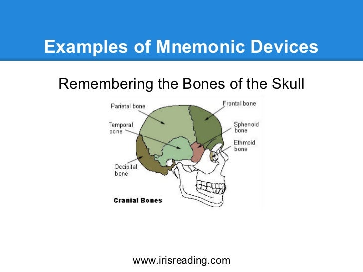How To Improve Your Memory: Mnemonic Devices