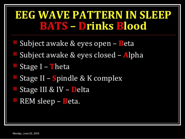 Bats Drink Blood Sleep