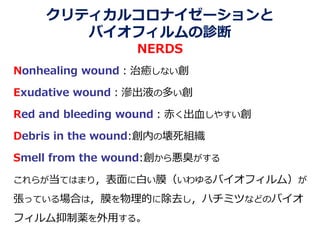 クリティカルコロナイゼーションと
バイオフィルムの診断
NERDS
Nonhealing wound：治癒しない創
Exudative wound：滲出液の多い創
Red and bleeding wound：赤く出血しやすい創
Debris in the wound:創内の壊死組織
Smell from the wound:創から悪臭がする
これらが当てはまり，表面に白い膜（いわゆるバイオフィルム）が
張っている場合は，膜を物理的に除去し，ハチミツなどのバイオ
フィルム抑制薬を外用する。
 