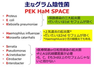 主なグラム陰性菌
PEK HaM SPACE
• Proteus
• E. coli
• Klebsiella pneumoniae
• Haemophilus influenzae
• Moraxella catarrhalis
• Serratia
• Pseudomonas
• Acinetobacter
• Citrobacter
• Enterobacter
•尿路感染の三大起炎菌
•だいたいは1st セフェムが効く
•上気道炎の起炎菌*
•だいたいは2nd セフェムが効く
*Haemophilusは小児の髄膜炎でも有名
•医療関連or日和見感染の起炎菌
•PとAは抗緑膿菌薬が必要
•S，C，Eも3rd以上のセフェムじゃな
いと効かない
 