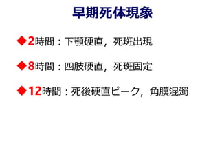 早期死体現象
2時間：下顎硬直，死斑出現
8時間：四肢硬直，死斑固定
12時間：死後硬直ピーク，角膜混濁
 