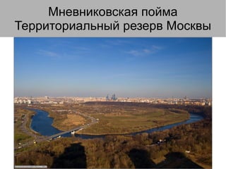Мневниковская пойма
Территориальный резерв Москвы
 