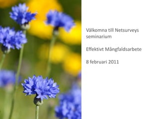 Välkomna till Netsurveys seminarium Effektivt Mångfaldsarbete 8 februari 2011 
