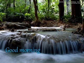 Good morning
www.indiandentalacademy.com
 