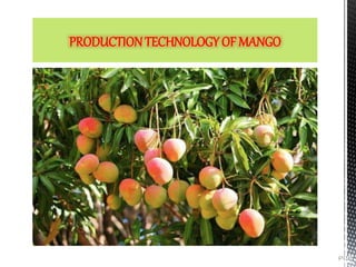 PRODUCTION TECHNOLOGY OF MANGO
 