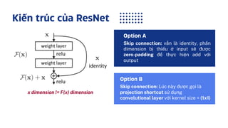 In-depth Exploration of ResNet and Skip Connections in Deep Learning | PDF