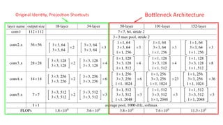 In-depth Exploration of ResNet and Skip Connections in Deep Learning | PDF