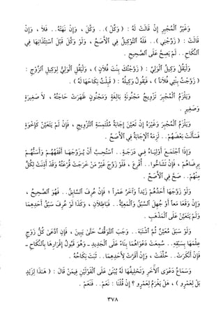 منهاج الطالبين وعمدة المفتين