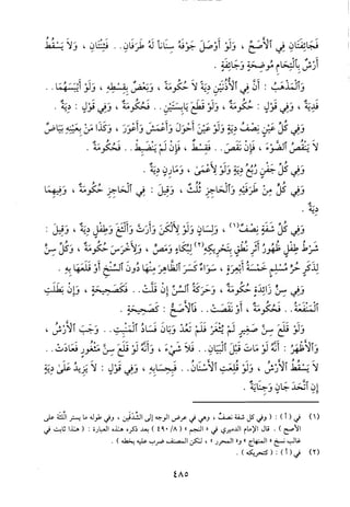 منهاج الطالبين وعمدة المفتين