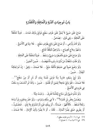 منهاج الطالبين وعمدة المفتين