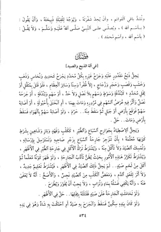 منهاج الطالبين وعمدة المفتين