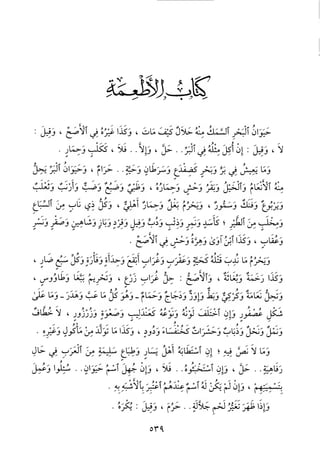 منهاج الطالبين وعمدة المفتين