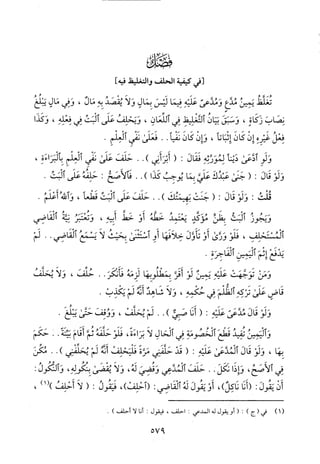 منهاج الطالبين وعمدة المفتين