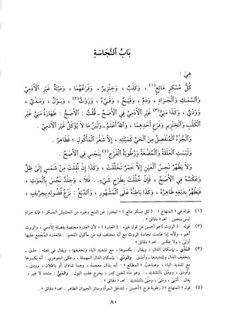 منهاج الطالبين وعمدة المفتين