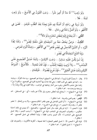 منهاج الطالبين وعمدة المفتين