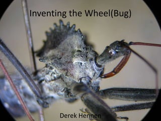 Inventing the Wheel(Bug)




       Derek Hennen
 