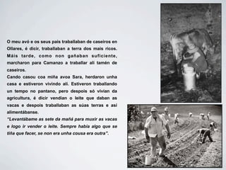 O meu avó e os seus pais traballaban de caseiros en
Ollares, é dicir, traballaban a terra dos mais ricos.
Máis tarde, como non gañaban suficiente,
marcharon para Camanzo a traballar alí tamén de
caseiros.
Cando casou coa miña avoa Sara, herdaron unha
casa e estiveron vivindo alí. Estiveron traballando
un tempo no pantano, pero despois só vivían da
agricultura, é dicir vendían o leite que daban as
vacas e despois traballaban as súas terras e así
alimentábanse.
“Levantábame as sete da mañá para muxir as vacas
e logo ir vender o leite. Sempre había algo que se
tiña que facer, se non era unha cousa era outra”.
 