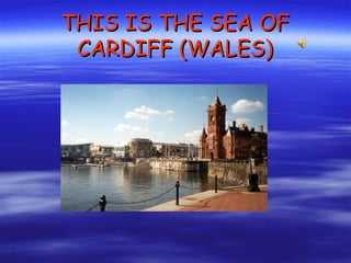 THIS IS THE SEA OF CARDIFF (WALES) 