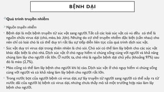 B NH D I
Ệ Ạ
Quá trình truy n nhi m
ề ễ
Ngu n truy n nhi m
ồ ề ễ
• B nh d i là m t b nh truy n t súc v t sang ng i.T t c các loài súc v t có vú đ u có th là
ệ ạ ộ ệ ề ừ ậ ườ ấ ả ậ ề ể
ngu n ch a virus d i (chó, mèo, bò ,l n). Nh ng do c ch truy n nhi m đ c bi t (c n nhau) cho
ồ ứ ạ ợ ư ơ ế ề ễ ặ ệ ắ
nên ch có loài chó là có th duy trì r t lâu s ti p di n liên t c c a quá trình d ch súc v t.
ỉ ể ấ ự ế ễ ụ ủ ị ậ
• Súc v t duy trì virus d i trong thiên nhiên là chó sói. Chó sói có th làm lây b nh cho các súc v t
ậ ạ ể ệ ậ
khác đ c bi t là chó nhà. D ch súc v t chó nguy hi m vì chúng s ng cùng v i ng i và kh năng
ặ ệ ị ậ ở ể ố ớ ườ ả
chúng làm lây cho ng i r t l n. n c ta, chó nhà là ngu n b nh d i ch y u (kho ng 97%) sau
ườ ấ ớ Ở ướ ồ ệ ạ ủ ế ả
đó là mèo (2,7%).
• Mèo c ng có th làm lây b nh cho ng i khi b cào. D ch súc v t chó nguy hi m vì chúng s ng
ũ ể ệ ườ ị ị ậ ở ể ố
cùng v i ng i và có kh năng làm lây b nh cho ng i r t l n.
ớ ườ ả ệ ườ ấ ớ
• Trong n c b t c a ng i b nh có virus d i, s lây truy n t ng i sang ng i có th x y ra t
ướ ọ ủ ườ ệ ạ ự ề ừ ườ ườ ể ả ừ
n c dãi c a ng i b b nh có virus d i, nh ng ch a th y mô t m t tr ng h p nào làm lây
ướ ủ ườ ị ệ ạ ư ư ấ ả ộ ườ ợ
b nh cho ng i.
ệ ườ
 
